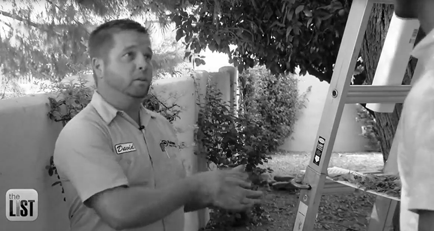 Fixing Your Home Up for Fall: The List TV Segment